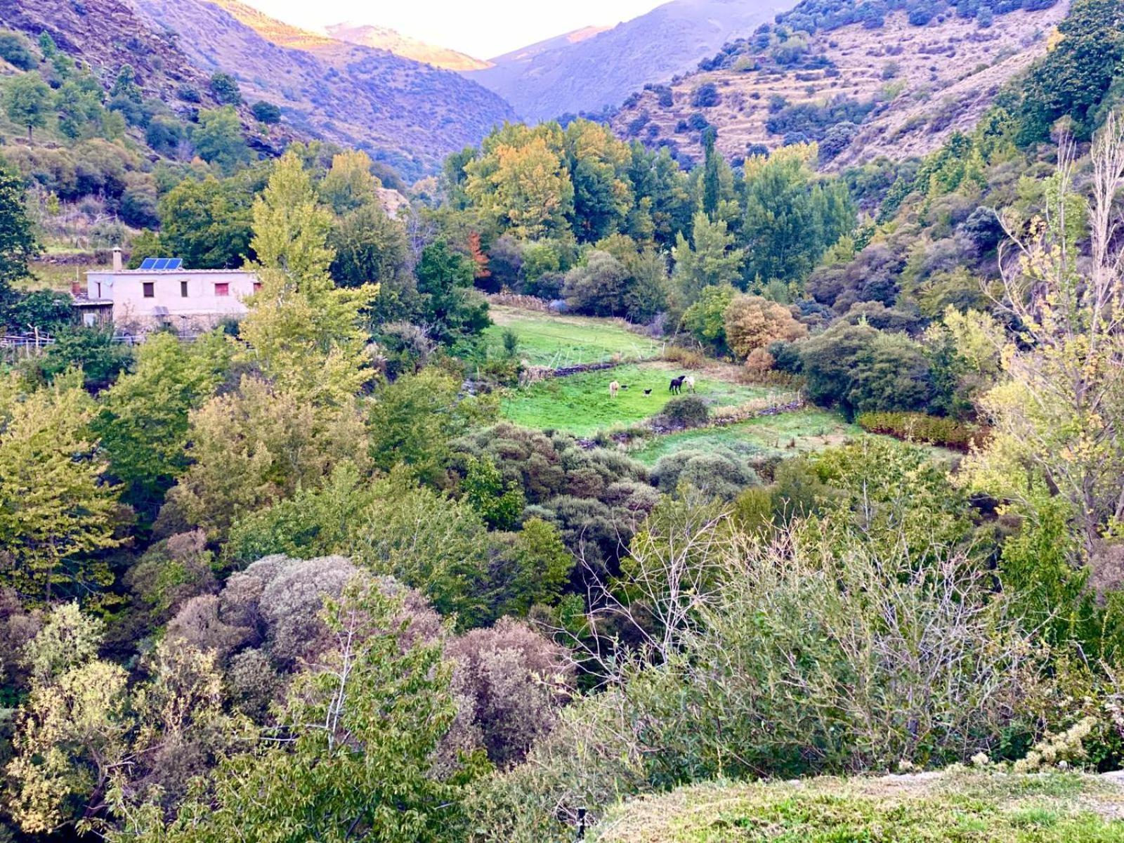 Casa Rural Cortijo Molino Altero Trevélez Esterno foto