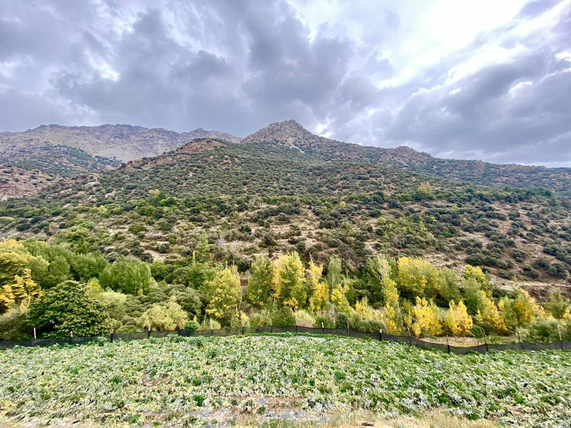 Casa Rural Cortijo Molino Altero Trevélez Esterno foto